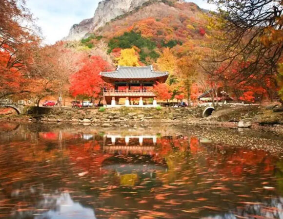 6D4N Mountain Naejansan​ Park