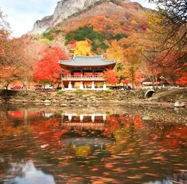 6D4N Mountain Naejansan​ Park